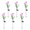 Solar LED Flower Stake Lights, 6-Pack Pink Chrysanthemum Lights for Outdoor Landscaping